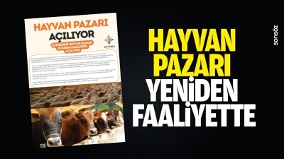 Hayvan Pazarı yeniden faaliyette