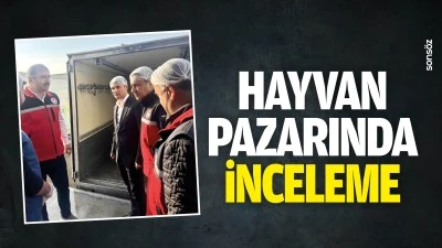Hayvan pazarında inceleme