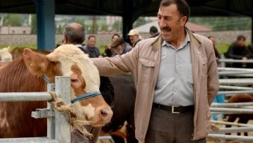 Hayvan pazarlarında arife yoğunluğu yaşanıyor