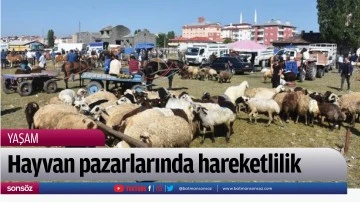 Hayvan pazarlarında hareketlilik