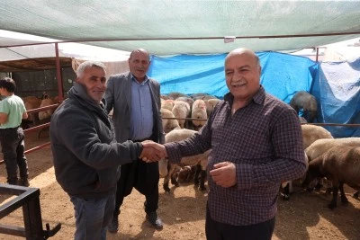 Hayvan pazarlarında hareketlilik s&uuml;r&uuml;yor