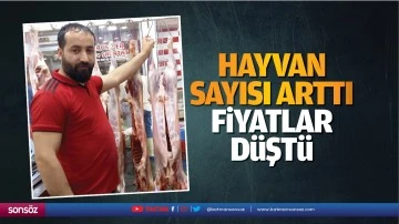 Hayvan sayısı arttı, fiyatlar d&uuml;şt&uuml;