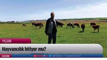 Hayvancılık bitiyor mu?