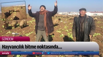 Hayvancılık bitme noktasında&hellip;