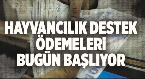 HAYVANCILIK DESTEK &Ouml;DEMELERİ BUG&Uuml;N BAŞLIYOR