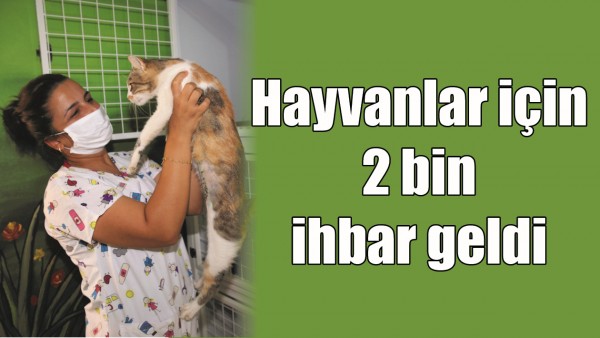 HAYVANLAR İ&Ccedil;İN 2 BİN İHBAR GELDİ