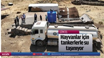 Hayvanlar i&ccedil;in tankerlerle su taşınıyor