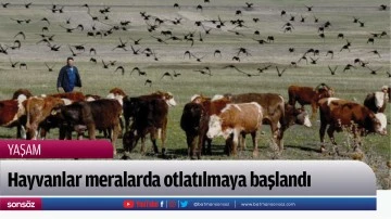 Hayvanlar meralarda otlatılmaya başlandı