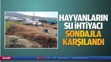 Hayvanların su ihtiyacı sondajla karşılandı