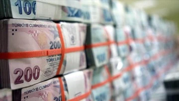 Hazine, 2 ihalede 43,8 milyar lira bor&ccedil;landı