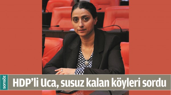 HDP&rsquo;Lİ UCA, SUSUZ KALAN K&Ouml;YLERİ SORDU