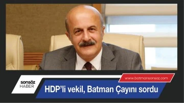 HDP&rsquo;li vekil, Batman &Ccedil;ayını sordu