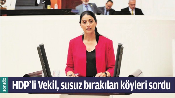 HDP&rsquo;Lİ VEKİL, SUSUZ BIRAKILAN K&Ouml;YLERİ SORDU