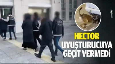 Hector, uyuşturucuya ge&ccedil;it vermedi