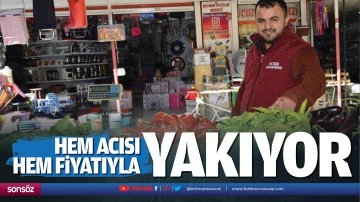 Hem acısı hem fiyatı ile yakıyor