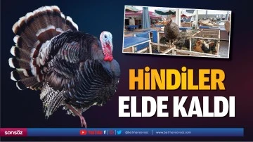 Hindiler elde kaldı