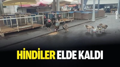 Hindiler elde kaldı