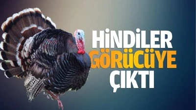 Hindiler g&ouml;r&uuml;c&uuml;ye &ccedil;ıktı