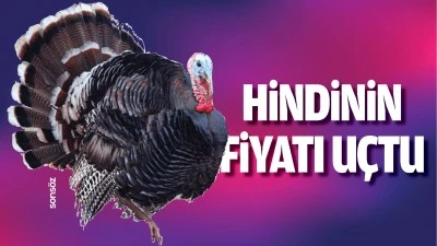 Hindinin fiyatı u&ccedil;tu