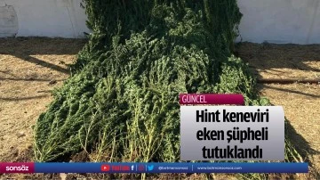 Hint keneviri eken ş&uuml;pheli tutuklandı