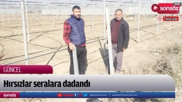 Hırsızlar seralara dadandı
