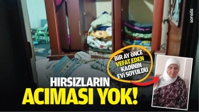Hırsızların acıması yok!