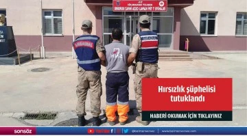 Hırsızlık ş&uuml;phelisi tutuklandı