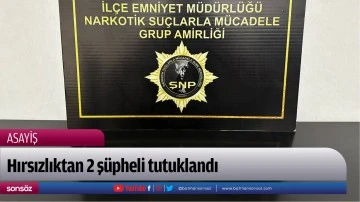 Hırsızlıktan 2 ş&uuml;pheli tutuklandı