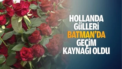 Hollanda g&uuml;lleri, Batman&rsquo;da ge&ccedil;im kaynağı oldu