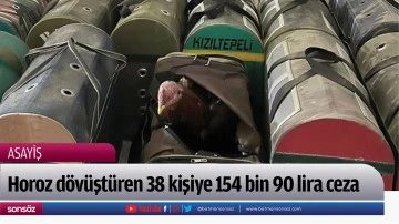 Horoz d&ouml;v&uuml;şt&uuml;ren 38 kişiye 154 bin 90 lira ceza