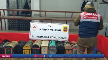 Horoz d&ouml;v&uuml;şt&uuml;ren 83 kişiye 578 bin 250 lira ceza verildi
