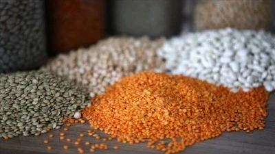 Hububat ihracatı 10 ayda 2,9 milyar dolara ulaştı