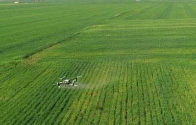 Hububat &uuml;reticisi nem artışıyla oluşabilecek hastalıklara karşı dronla ila&ccedil;lama yapıyor