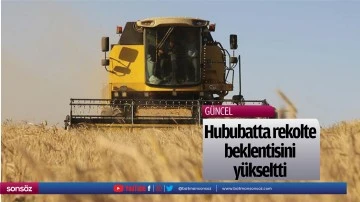 Hububatta rekolte beklentisini y&uuml;kseltti