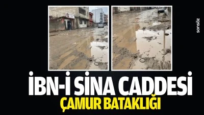 İbn-i Sina Caddesi &ccedil;amur bataklığı