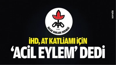İHD, at katliamı i&ccedil;in &lsquo;acil eylem&rsquo; dedi