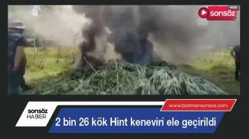 İki bin 26 k&ouml;k Hint keneviri ele ge&ccedil;irildi