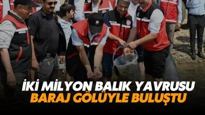 İki milyon balık yavrusu, baraj g&ouml;l&uuml;yle buluştu