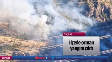 İl&ccedil;ede orman yangını &ccedil;ıktı