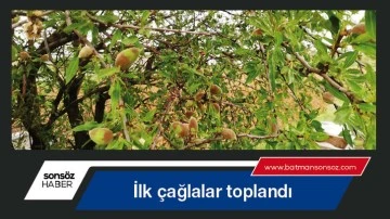İlk &ccedil;ağlalar toplandı
