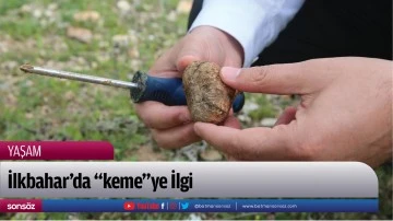 İlkbahar&rsquo;da "keme"ye İlgi..