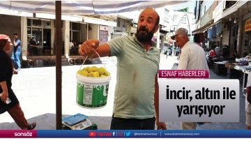 İncir, altın ile yarışıyor