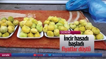 İncir hasadı başladı, fiyatlar d&uuml;şt&uuml;