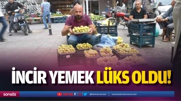 İncir yemek l&uuml;ks oldu!