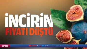 İncirin fiyatı d&uuml;şt&uuml;