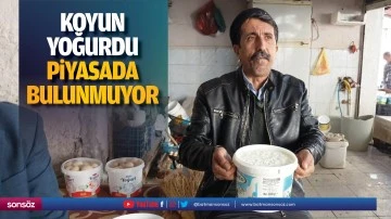 Koyun yoğurdu piyasada bulunmuyor