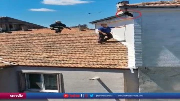 İpe dolanan kargayı polis memuru kurtardı