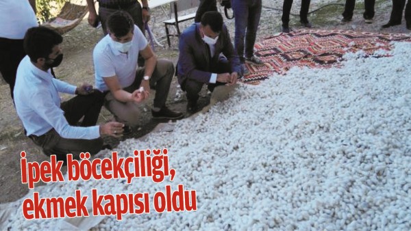 İPEK B&Ouml;CEK&Ccedil;İLİĞİ, EKMEK KAPISI OLDU
