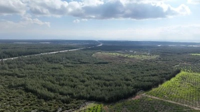 İş Bankası'nın "81 İlde 81 Orman" projesi Antalya ile devam ediyor