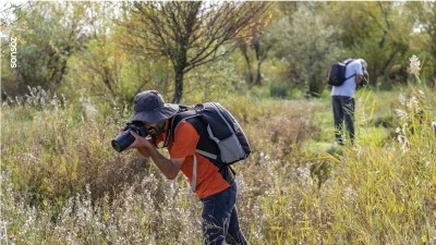 İsmini Dicle Nehri'den alan kelebeği tarihi Hevsel Bah&ccedil;eleri'nde fotoğraflıyorlar